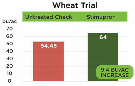 Wheat Trial
