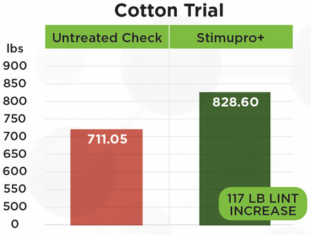 Cotton Trial